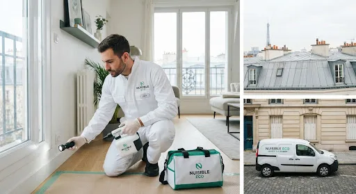 Intervention technicien Nuisible Eco